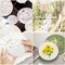 6 Pieces Embroidery Hoops 3 Inch to 10 Inch Cross Stitch Hoop Small Embroidery Hoop with 16 Pieces Needles for Embroidery